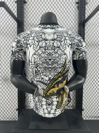24/25 Real Madrid Special jersey