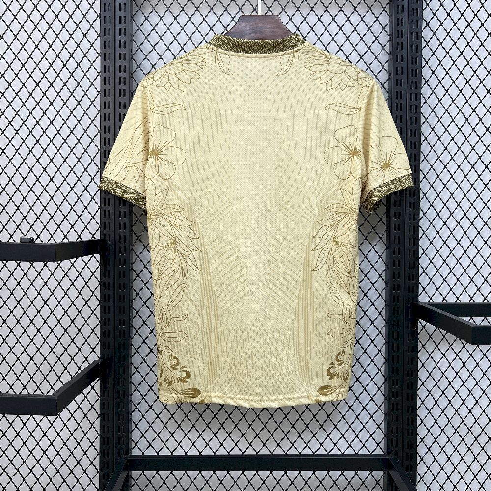 2025 Brazil Special Jersey