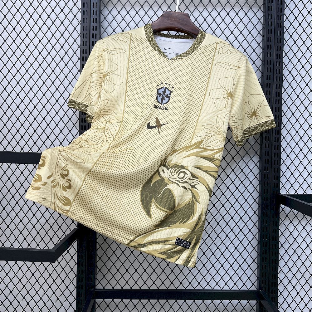 2025 Brazil Special Jersey