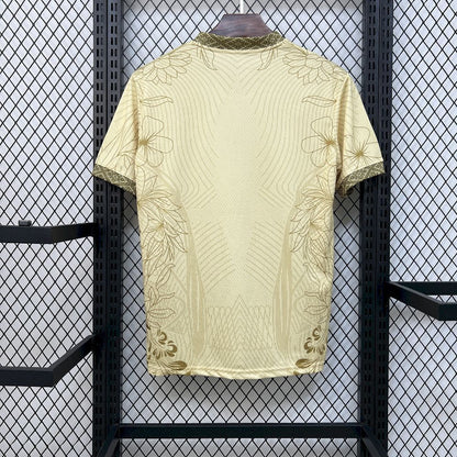 2025 Brazil Special Jersey